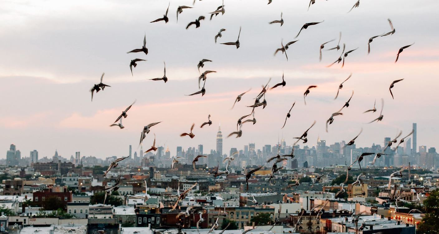 Raising kids in New York City