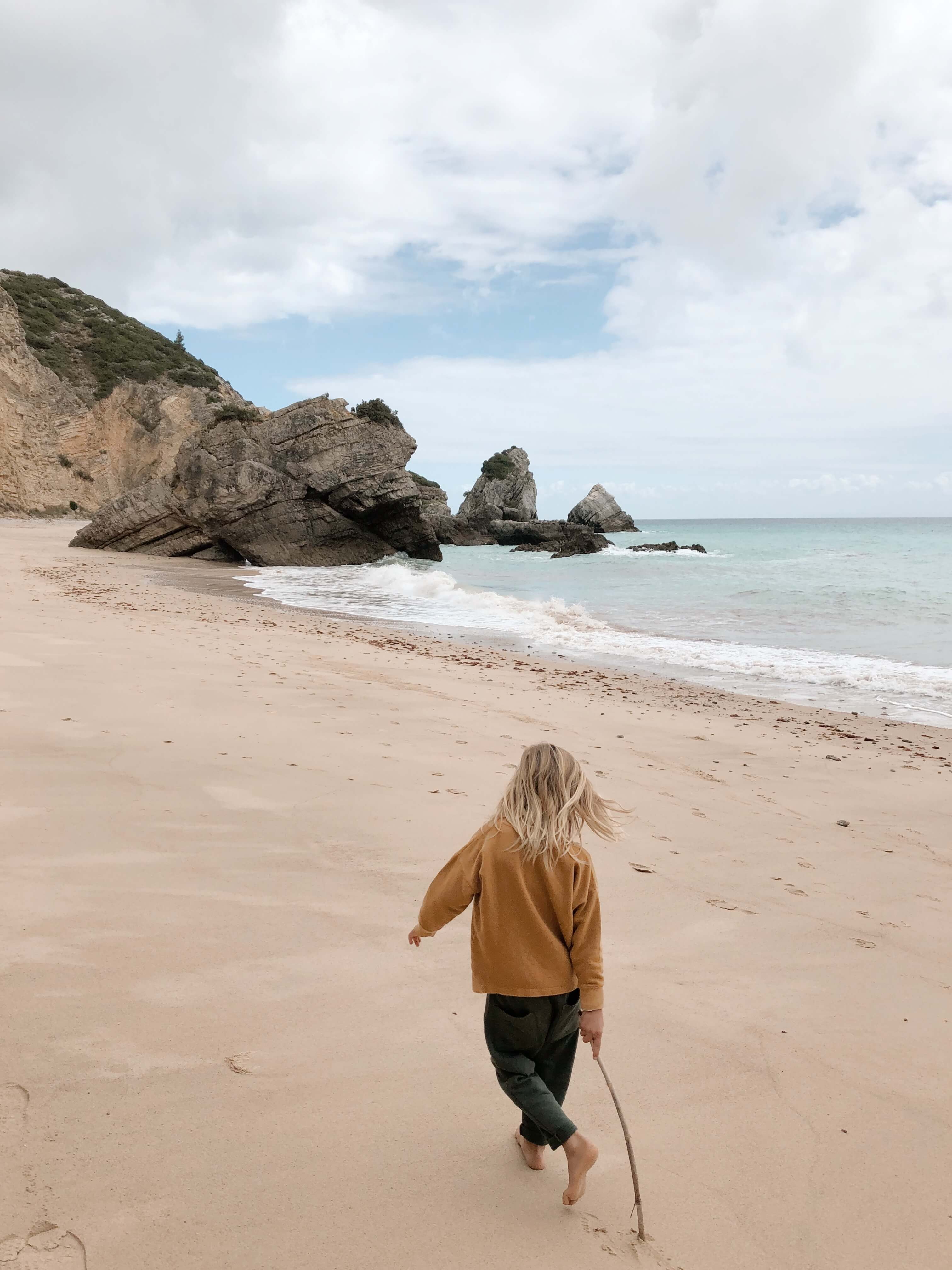 wild free editorial